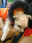 20150313_012.jpg